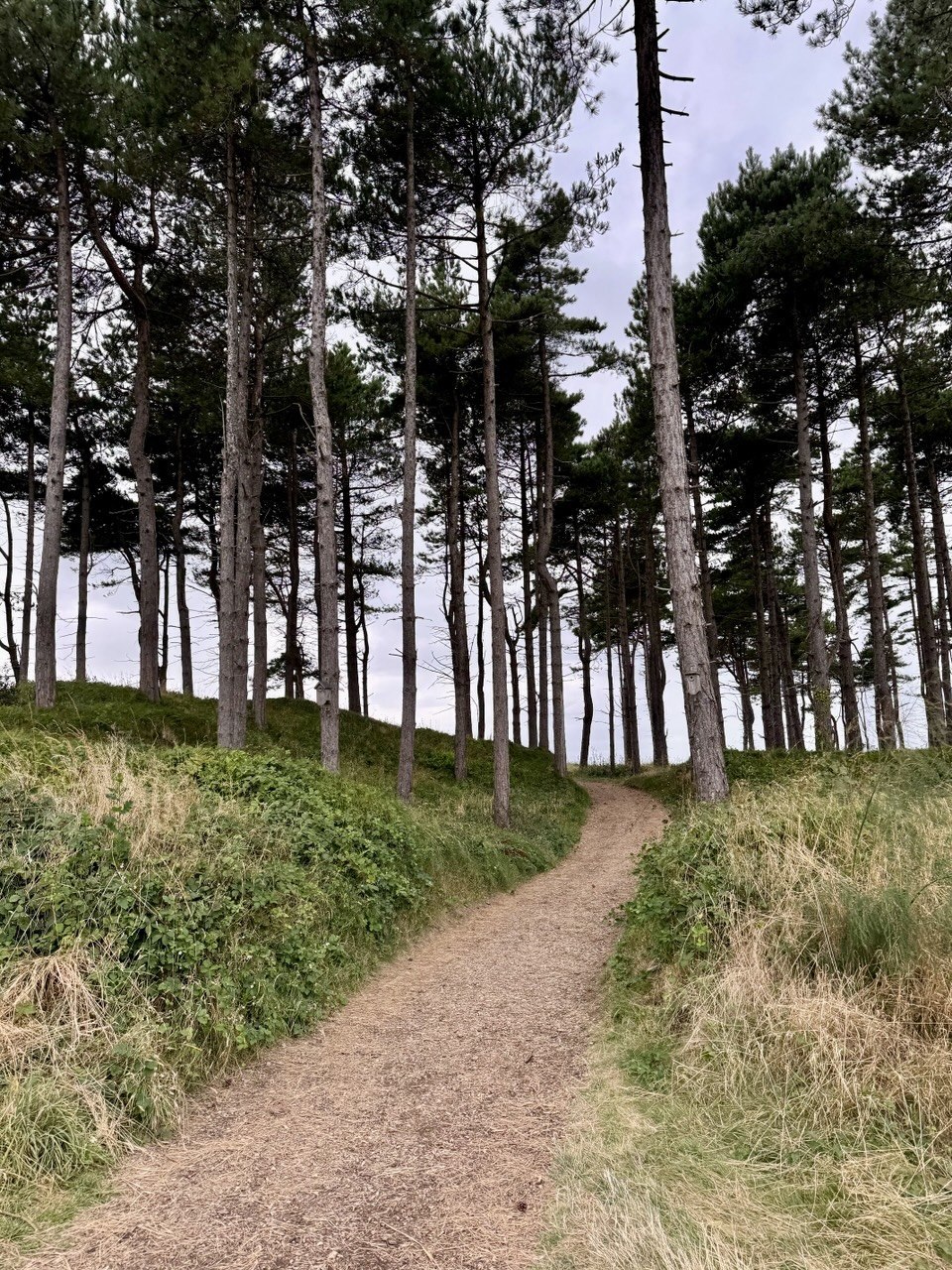 Formby Golf Club
