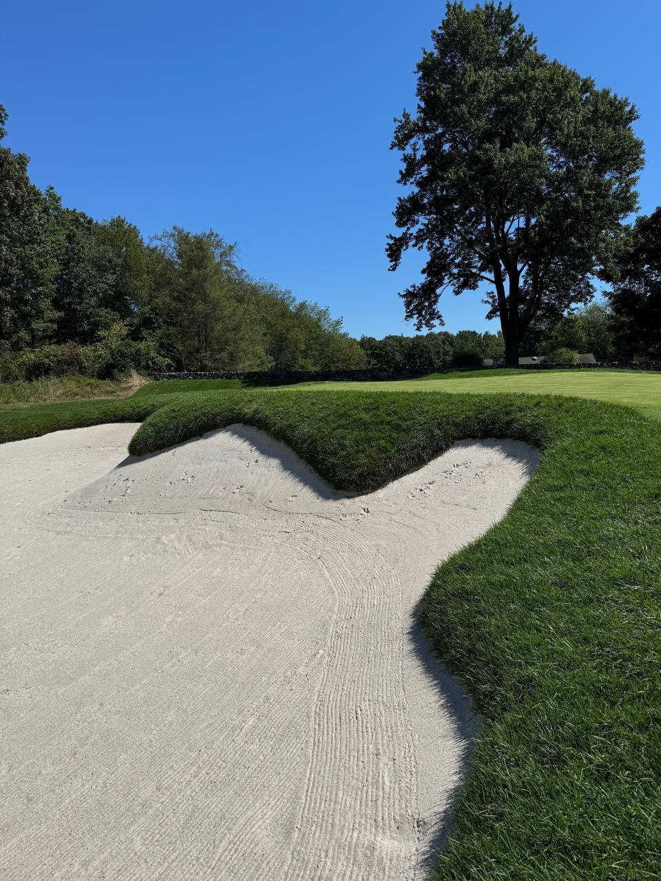 The Patterson Club